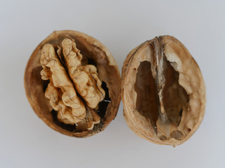 Opened walnut on a white background with shadows