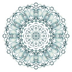 Mandala Style Vector Shapes. Decorative Cicle ornament. Floral design.