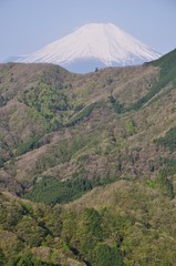 加入道山から眺める富士山