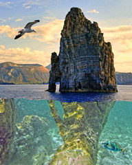 Über und unter Wasser (Fotomontage)