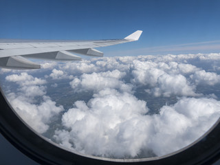 Obraz premium Bird View on Flight. 