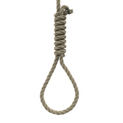 rope loop on the neck on an isolated white background. 3d illustration