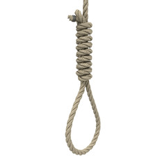 rope loop on the neck on an isolated white background. 3d illustration