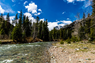 Rumbling Lone Horse Creek, Waterton Lakes, National Park, Alberta, Canada