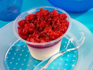 RASPBERRY PANNA COTTA