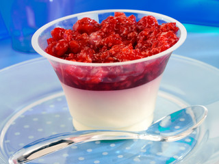 RASPBERRY PANNA COTTA
