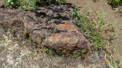 Obraz premium Guadeloupe - between sea and ocean