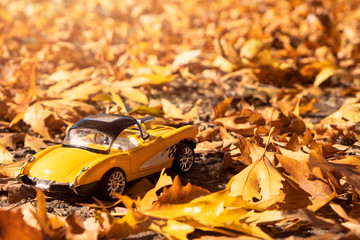 toy car in nature