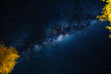 milkyway night stars universe galaxy trees