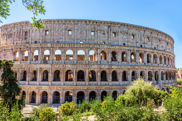 Obraz premium Coliseum in greenery, summer view, no people, Rome, Italy