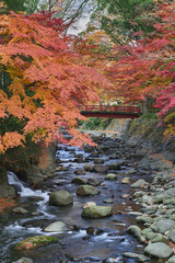 秋の桂橋から楓橋を望む(修善寺温泉)