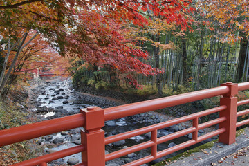 楓橋から桂橋を望む(秋の修善寺温泉)