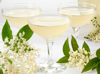 ELDERFLOWER CHAMPAGNE