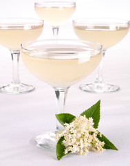 ELDERFLOWER CHAMPAGNE