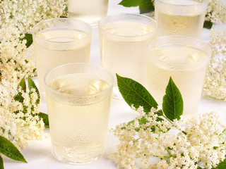 ELDERFLOWER CORDIAL