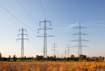 Electricity Pylons In Flat Landscape