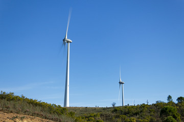 Wind turbines surrounded by trees in Algarve Portugal