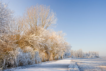 German Winter Landscape