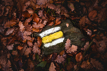 Yellow tourist sign  on the rock between the brown  leafs in the forest at fall.  Tourist marking in forest on the stone in autumn time.  Illuminated closeup Color mark for hiking tourists in nature