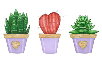 Hand drawn illustration with set of house plants in color pots. A cactus and succulent on a white background
