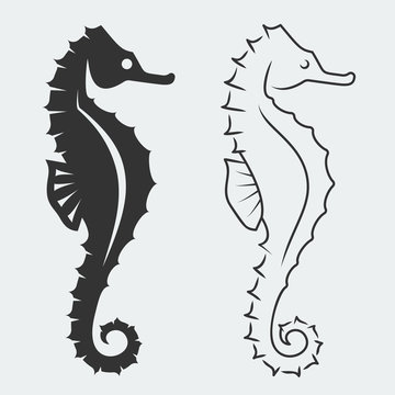 Vector seahorse silhouettes