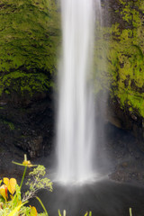 Wasserfall Akaka auf Big Island, Hawaii