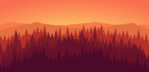Pine forest at dusk landscape background
