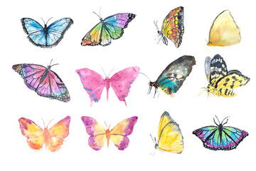 Set of colorful watercolor butterfly on white background, watercolor illustrator hand painted - 235299931