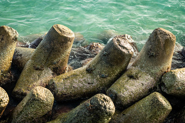 Fototapeta na wymiar Crabs on the rocks
