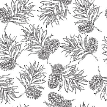 Seamless pattern with hand drawn pine cones and branches. Vector illustration engraved. Design for Christmas greeting cards and packaging.