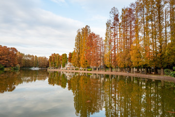 秋の別所沼公園　さいたま市南区