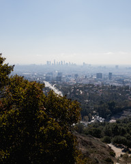 Fototapeta na wymiar Hollywood hills looking at downtown Los Angeles