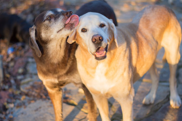 That's the spot!