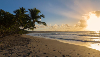 Sunset, paradise beach and palm trees, Martinique island.