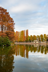 秋の別所沼公園　さいたま市南区