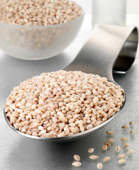 SPOONFUL OF PEARL BARLEY