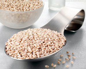 SPOONFUL OF PEARL BARLEY
