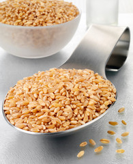 SPOONFUL OF WHEAT GRAIN