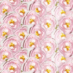 Beautiful floral background of wild rose 