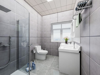 Modern family bathroom design with toilet, washing machine, shower and mirror