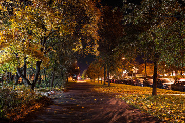 Naklejka premium Autumn footpath in the night city photographed by the light of street lights and lanterns