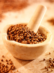 CORIANDER SEEDS IN PESTLE AND MORTAR