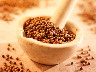 CORIANDER SEEDS IN PESTLE AND MORTAR