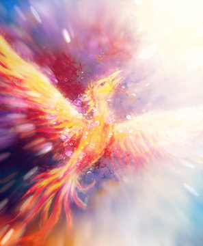 Flying Phoenix Bird As Symbol Of Rebirth And New Beginning.