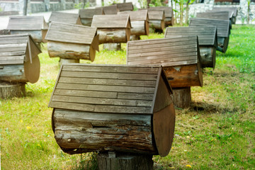 bee houses made of wood. apiary, honey extraction. beekeeping.