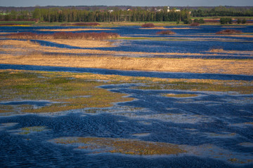 Landscape with Biebrza river near Goniadz, Podlaskie, Poland