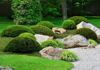 Zen rock-garden with low shrubs