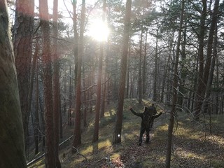 Men in the forest