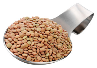 SPOONFUL OF GREEN LENTILS CUT OUT
