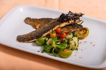 Grilled trout, two slices with vegetables served on a plate